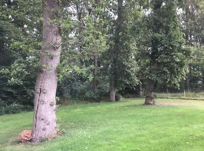 Ro I Skoven - Men Taet Pa Byen
